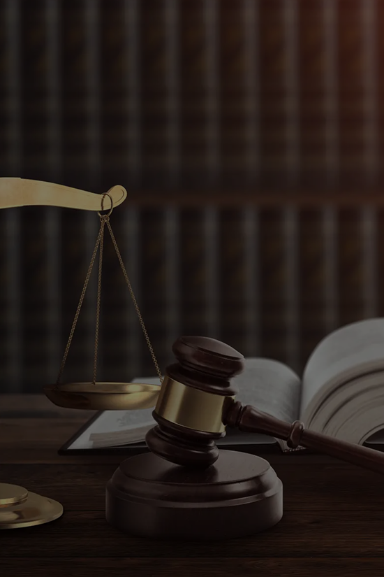 المرافعة أمام الجهات القضائية